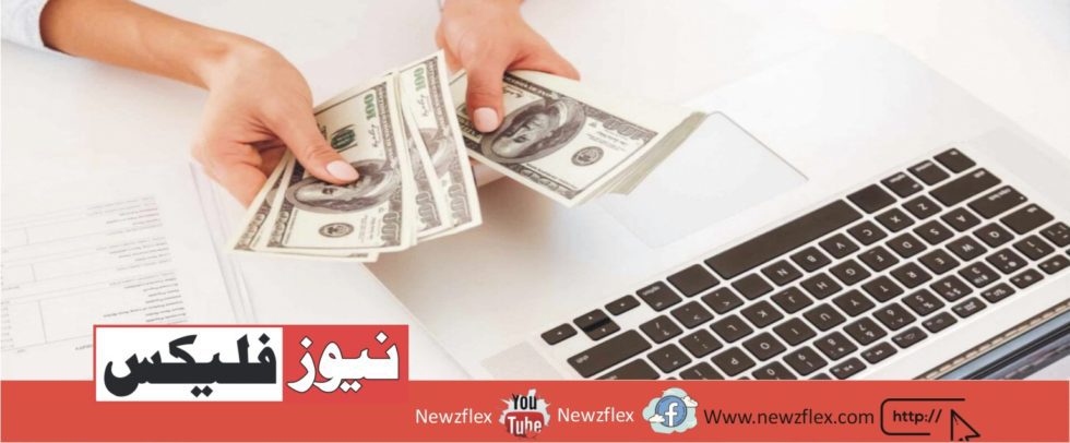 How to Earn Money Online in Pakistan نیوز فلیکس