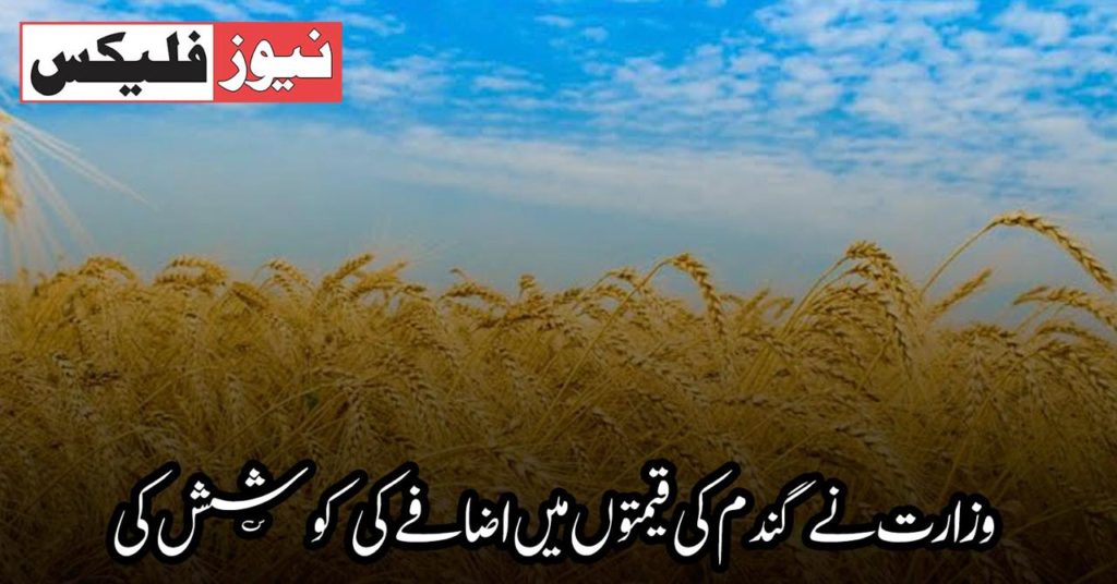 وزارت نے گندم کی قیمتوں میں اضافے کی کوشش کی