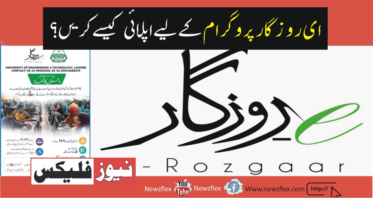 How to Apply for the E-Rozgaar Programme