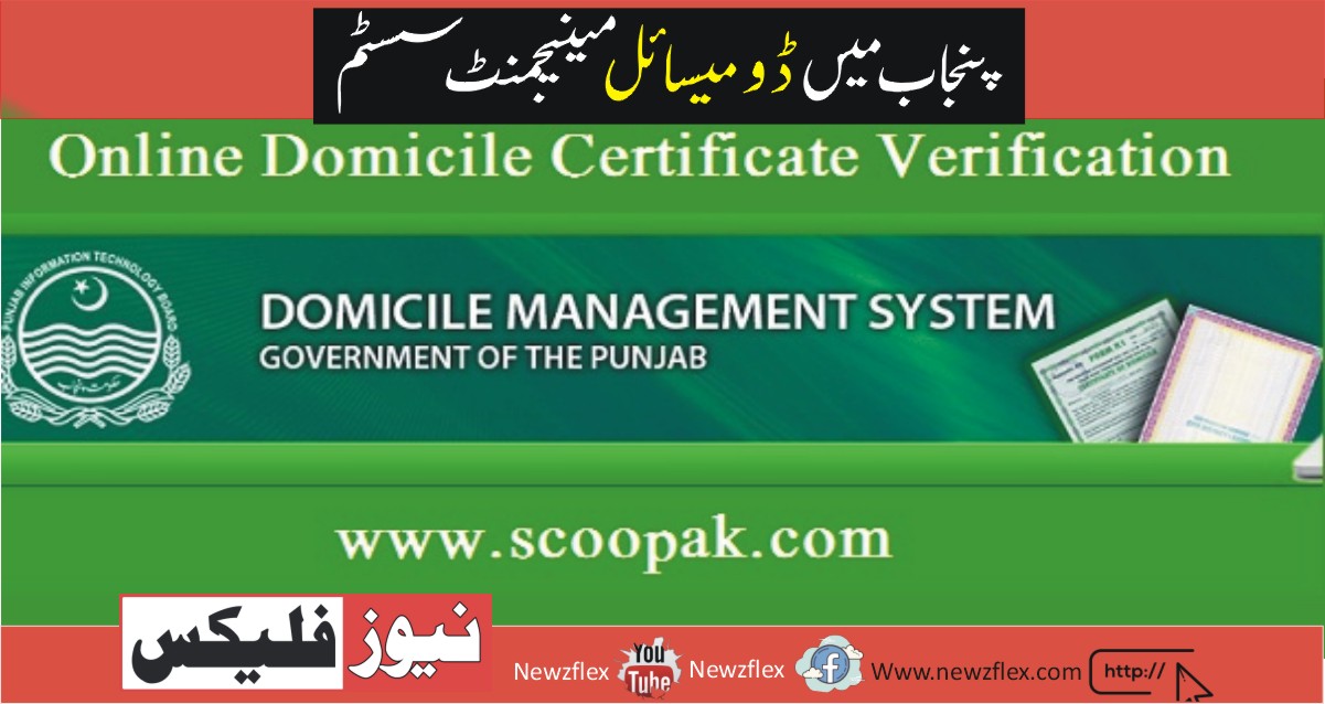 Domicile Management System in Punjab