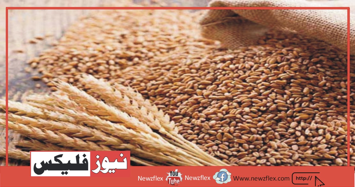 پاکستان نے خوراک کے بحران سے نمٹنے کے لیے روس سے گندم درآمد کرنے کی منظوری دے دی۔