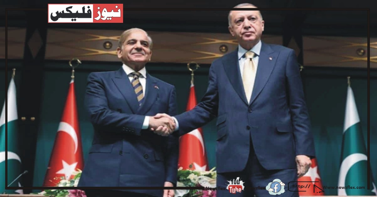 وزیراعظم شہباز شریف نے ترک صدر کو آموں کا تحفہ دیا۔