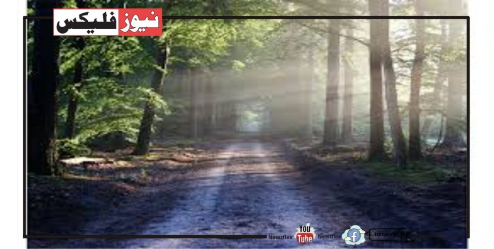 ذکر الہی، دعا، توبہ، اور استغفار