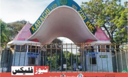 Everything You Need to Know About Karachi Zoo