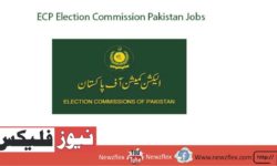 ای سی پی نوکریاں 2023 اشتہار - الیکشن کمیشن آف پاکستان کی نوکریاں