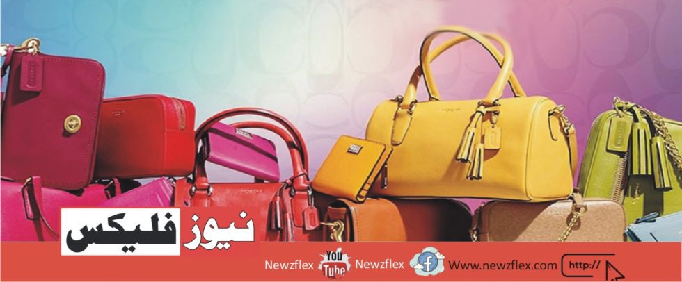 5 Best Ladies Handbag Brands in Pakistan