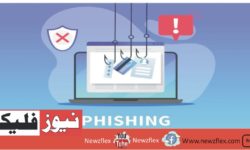How to Identify and Respond to Phishing Attacks