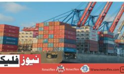 Dubai’s Company Announces Multiple Shipping Jobs in UAE with Salary upto 19,000 Dirhams