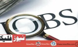 Govt Jobs Available in Islamabad! Apply now!