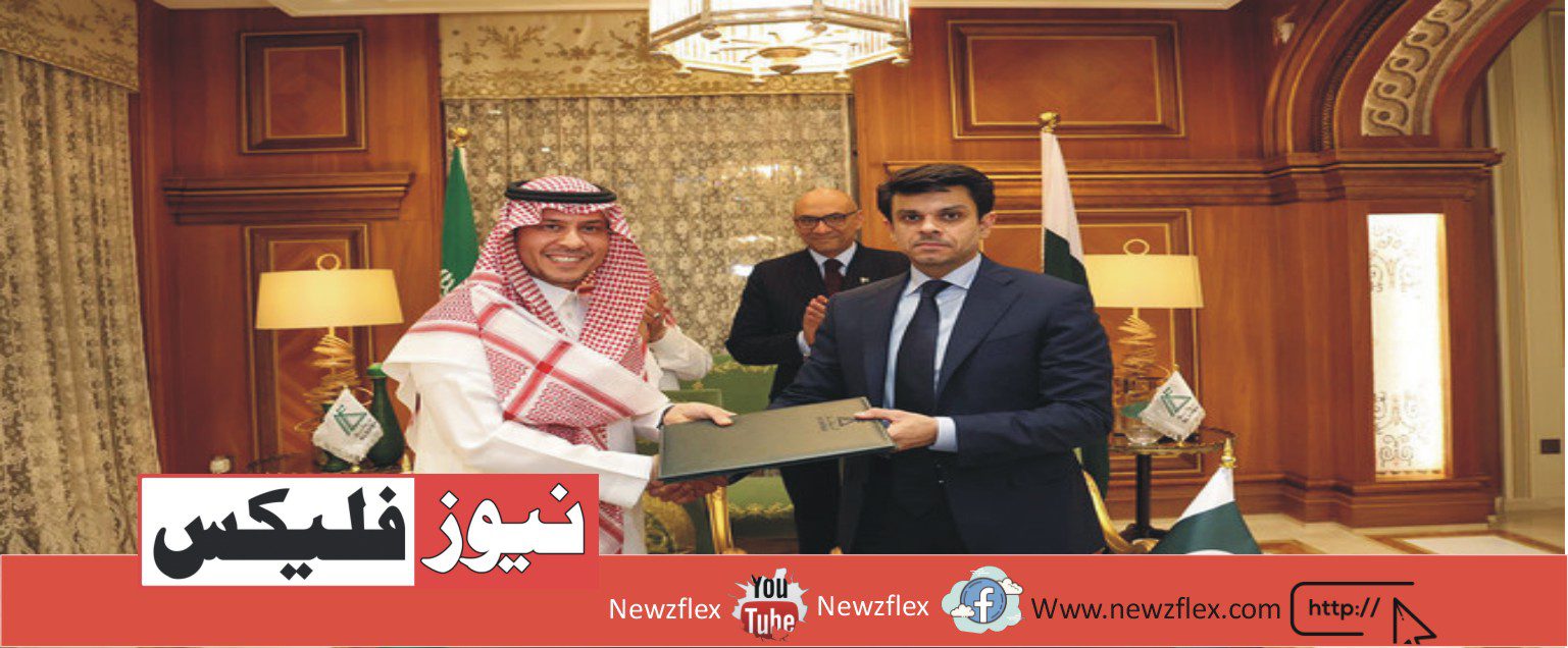 Powerful Partnerships: SAPM Malik Inks Deals to Open Jobs Avenues for Pakistanis in Saudi Arabia