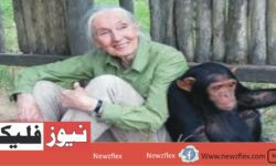 Jane Goodall