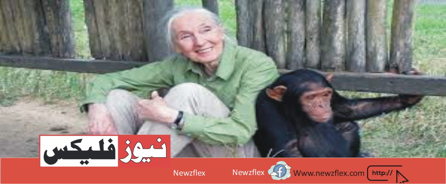 Jane Goodall