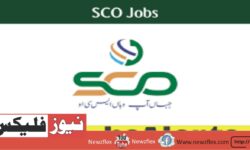 Special Communication Organization Announces Various Jobs Vacancies in Pakistan