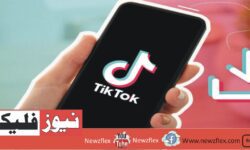 How to Download TikTok Videos Using On4t?