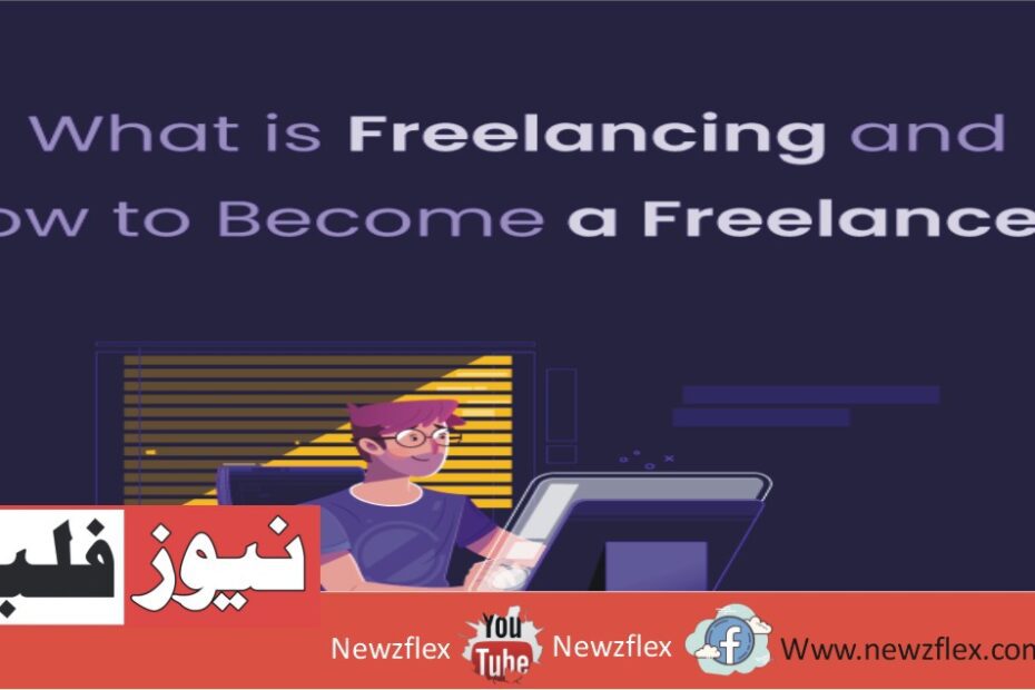 What can I do as a freelancer?