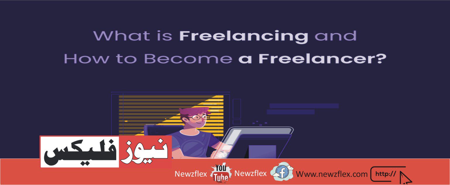 What can I do as a freelancer?