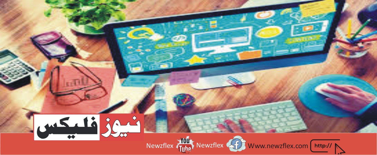 What is the long-term upside for a freelance web developer?