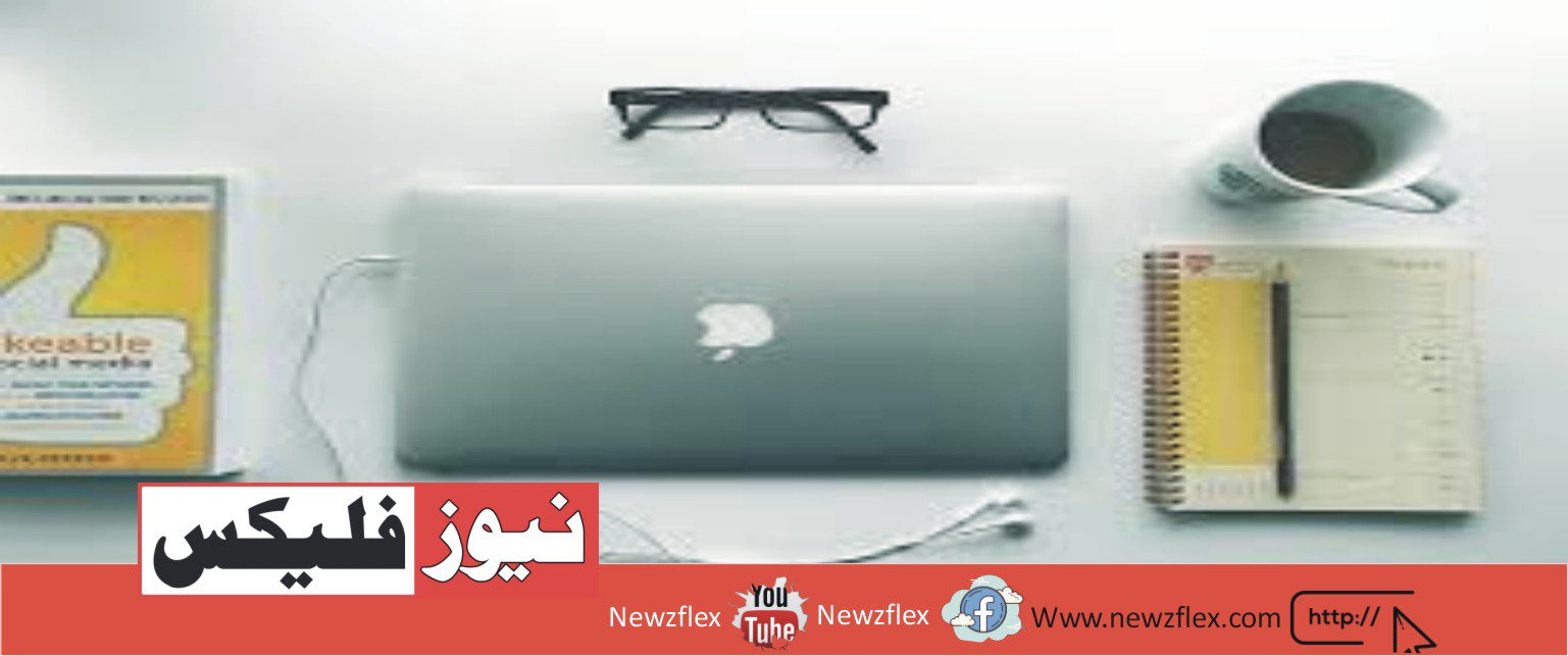 What should I learn to become a freelance web developer?