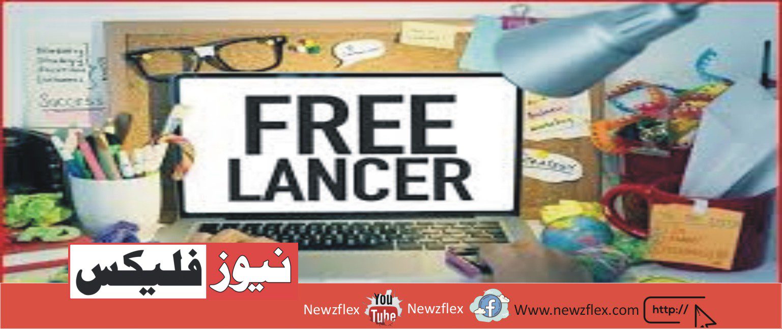 What career/profession has the most freelancers?
