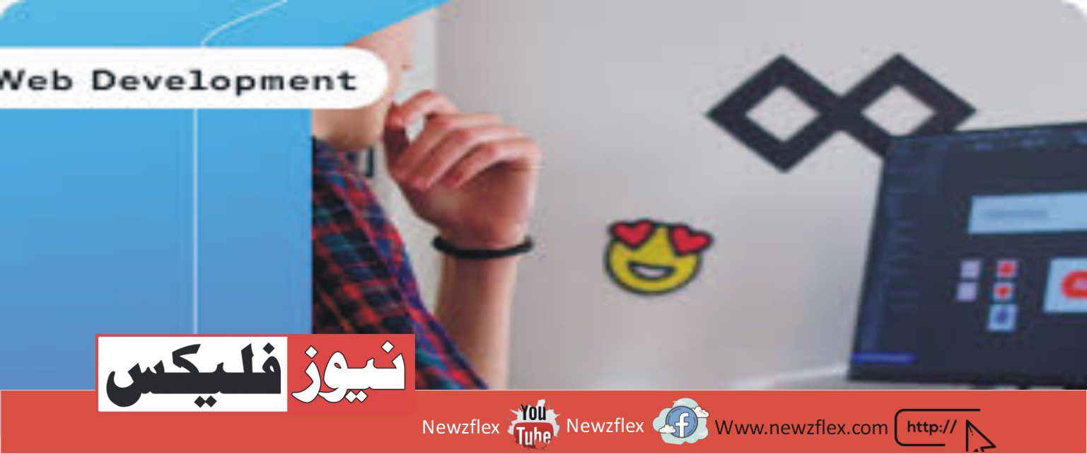 The Pros and Cons of Being a Freelance Web Developer
